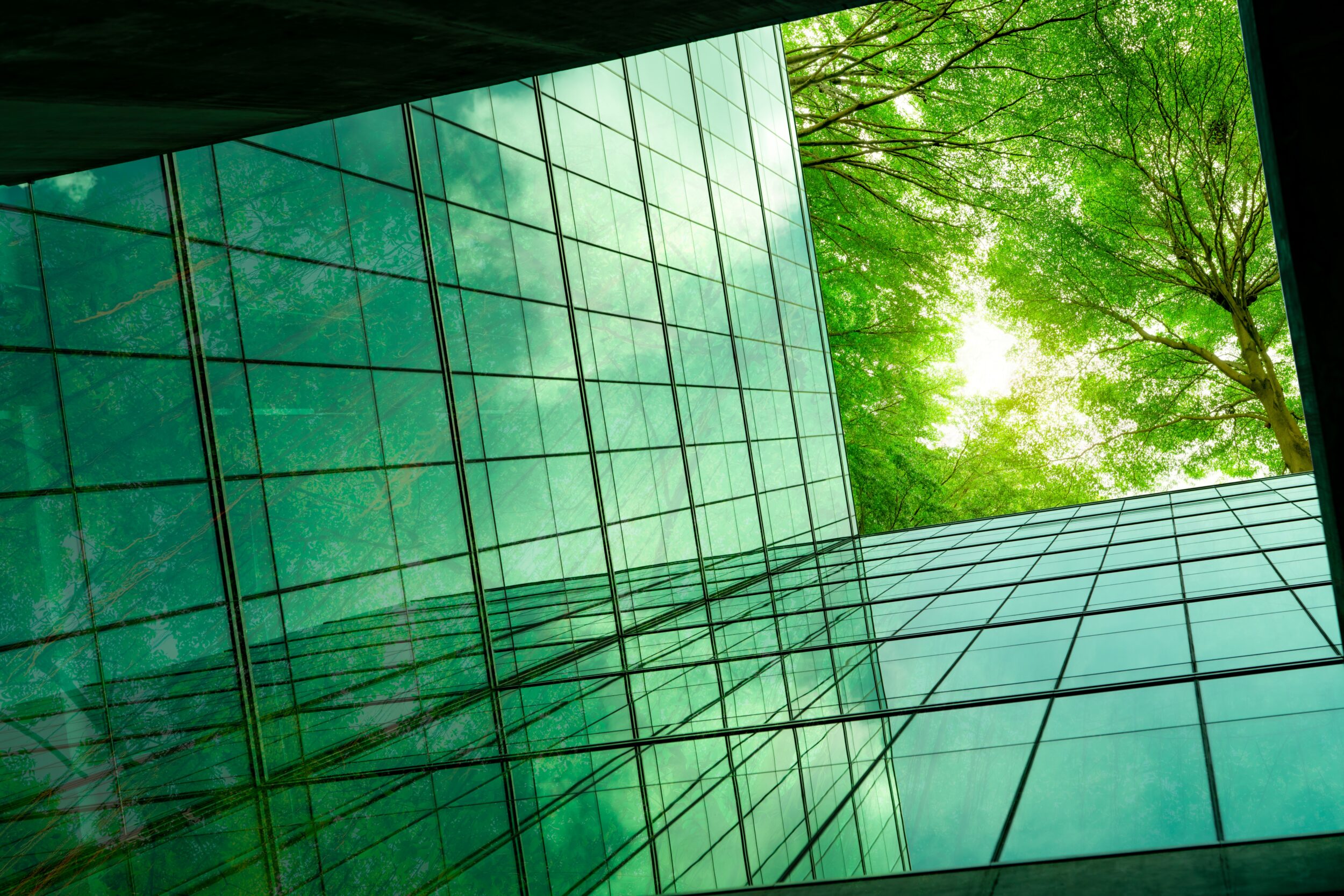 A light shines through a glass building with trees overhead