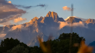 pexels-marvz-etcoban-5038431 1